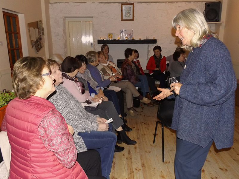 Wendy Nairn, standing, chatting to ICA Wicklow Townmembers who are seated