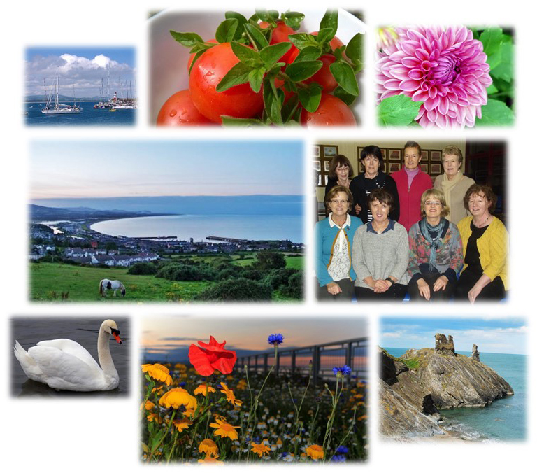 Views of Wicklow Town and ICA Wicklow Town members as well as flowers and fruit